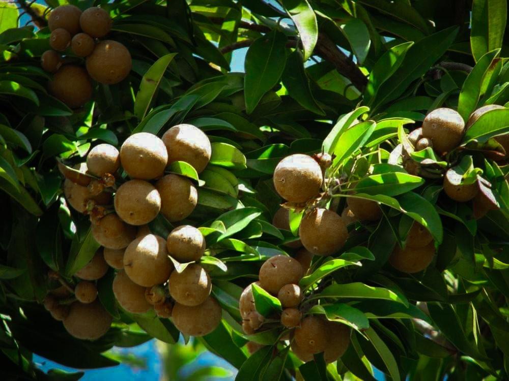 Chalobahills Farmstay Resort Ajra Ngoại thất bức ảnh